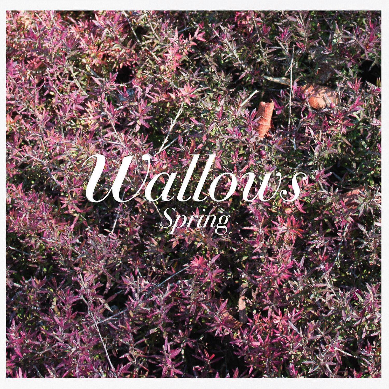 Wallows - Spring  [COMPACT DISCS] Explicit USA import