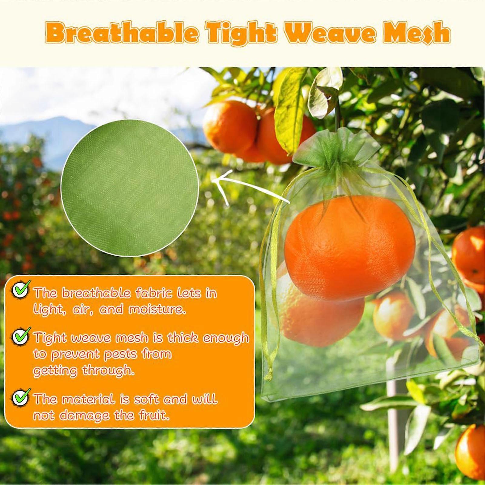 Plant Insect Protection Net Fruit Protection Bags Green Fruit Netting ...
