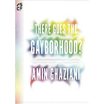 Da geht die Gayborhood? (Princeton Studies in Cultural Sociology)