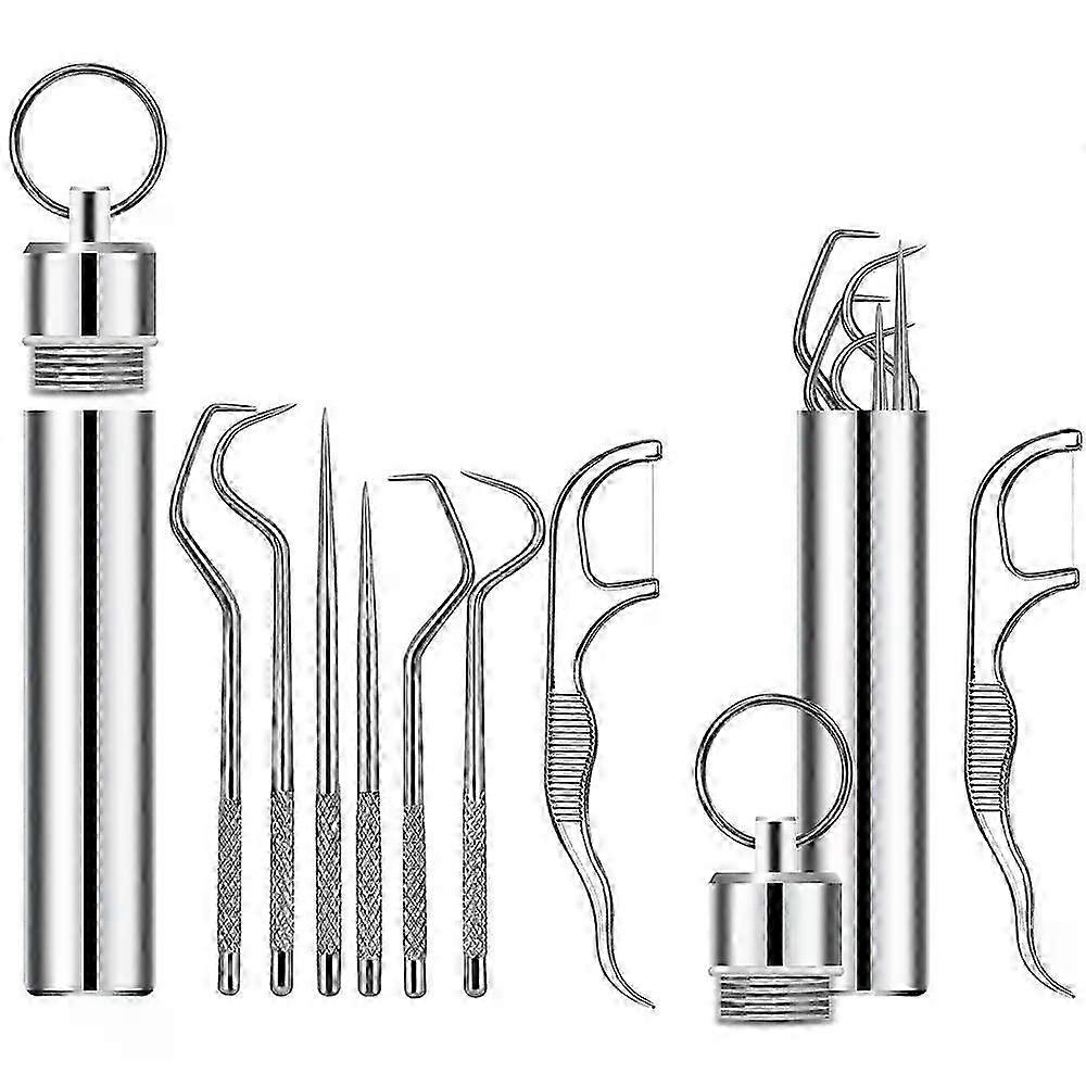 Portable stainless steel toothpick set, pocket-sized, reusable metal toothpicks, cleaning kit, travel dental floss, toothpicks