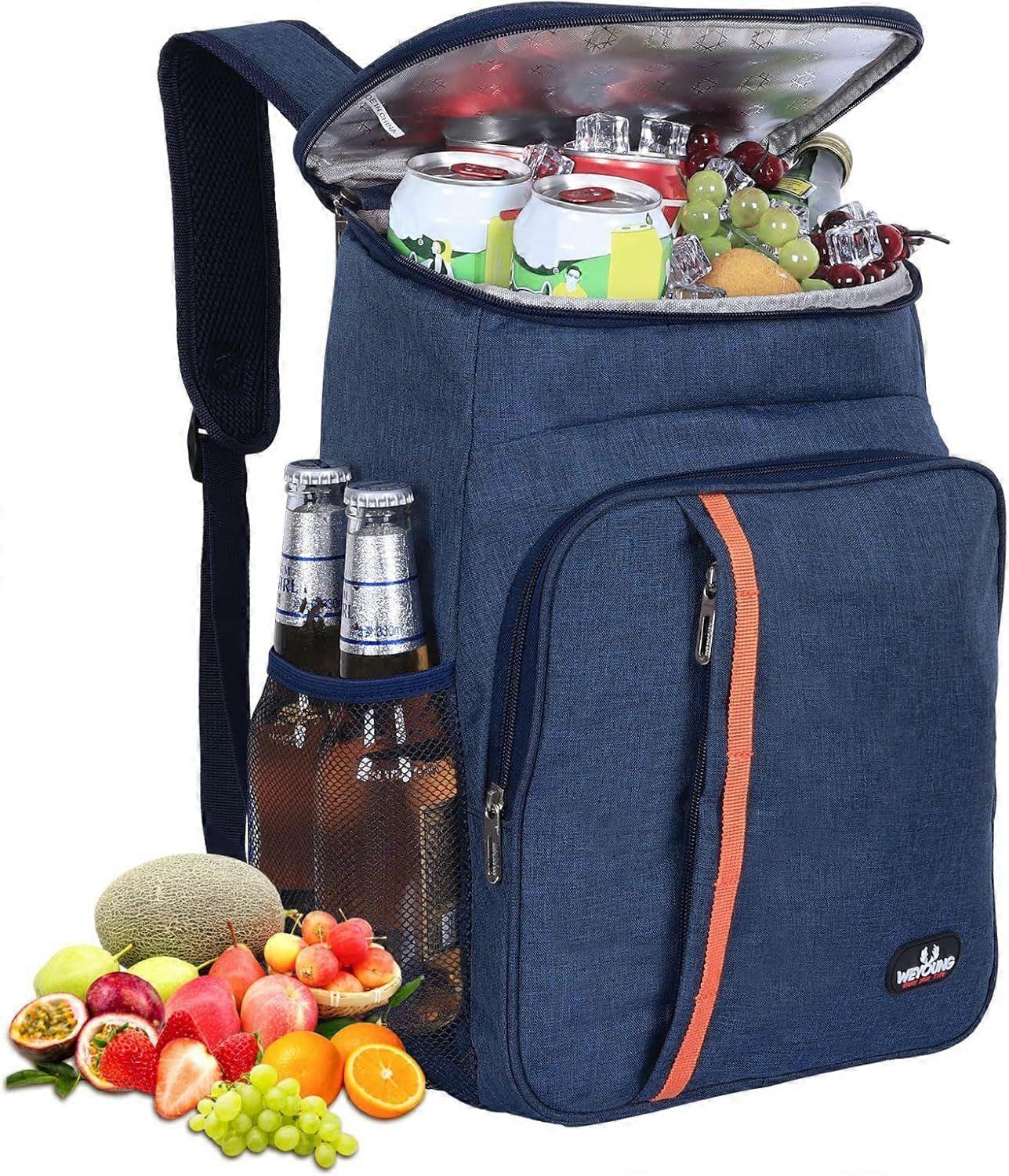 23L Insulated Cooler Backpack Bag Backpack
