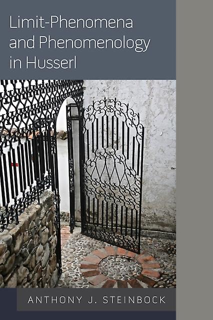 Limitphenomena And Phenomenology In Husserl by Anthony J. Steinbock Paperback Book
