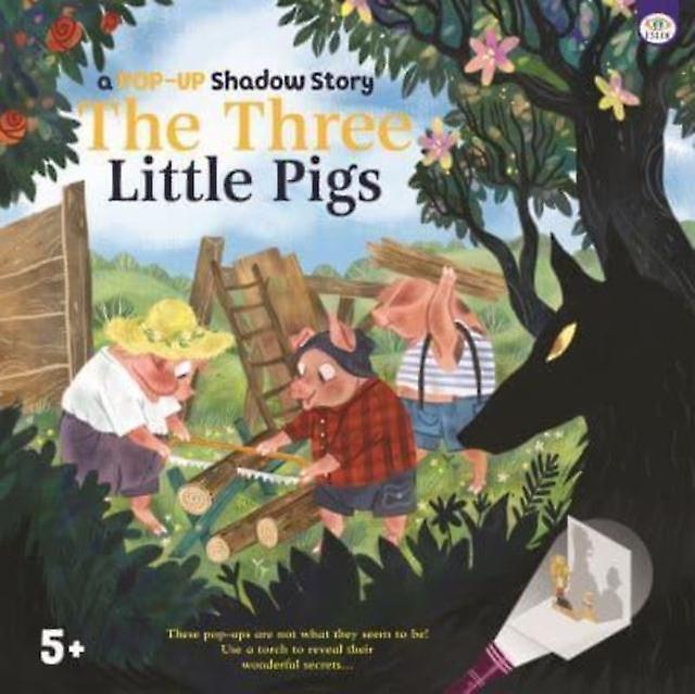 A Pop Up Shadow Story Three Little Pigs by Eve Robertson Novelty book Book