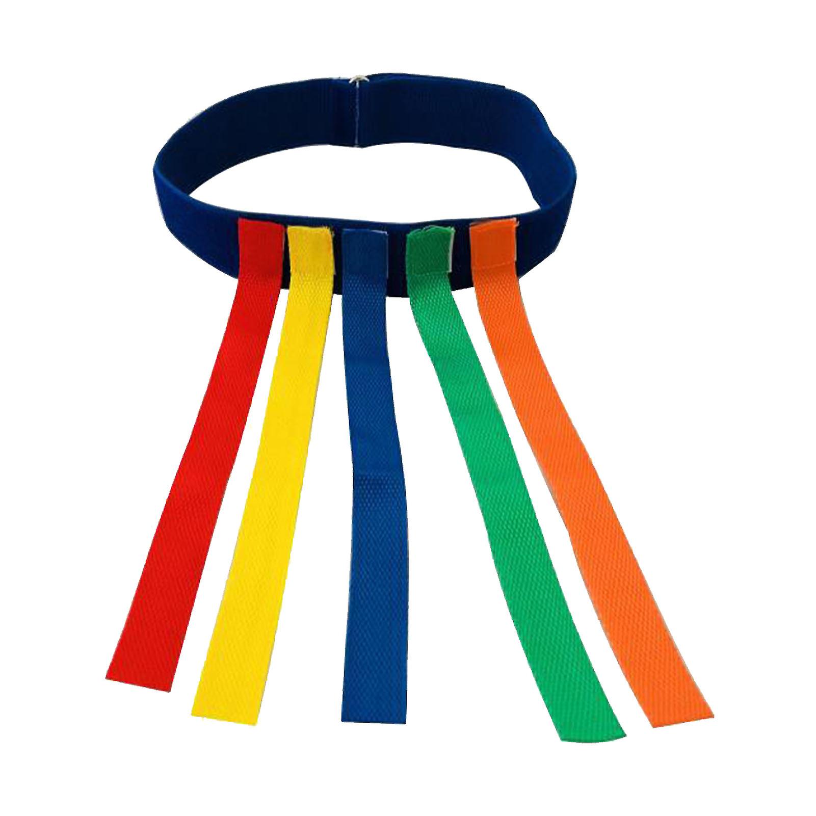 Catch Tail Game Belt Stretchable Colorful Interactive Tail Catching Training Equipment for Adults Kids Family Activities Blue