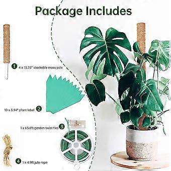 philodendron dnger Zimmerpflanzen Dnger, Monstera Dnger, 6 Monate Depotwirkung  PlantMe