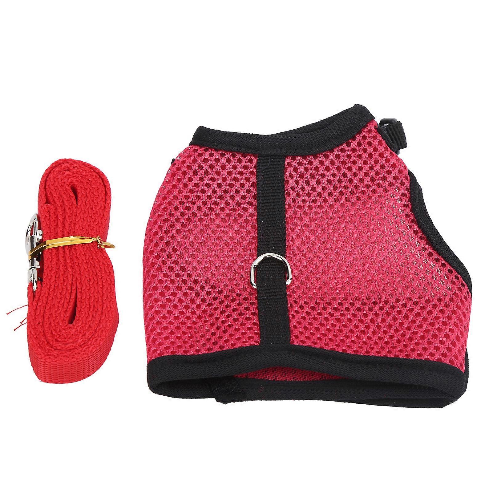 Adjustable M Harness with Lead, Soft Pet Walking Harness for Small Animals