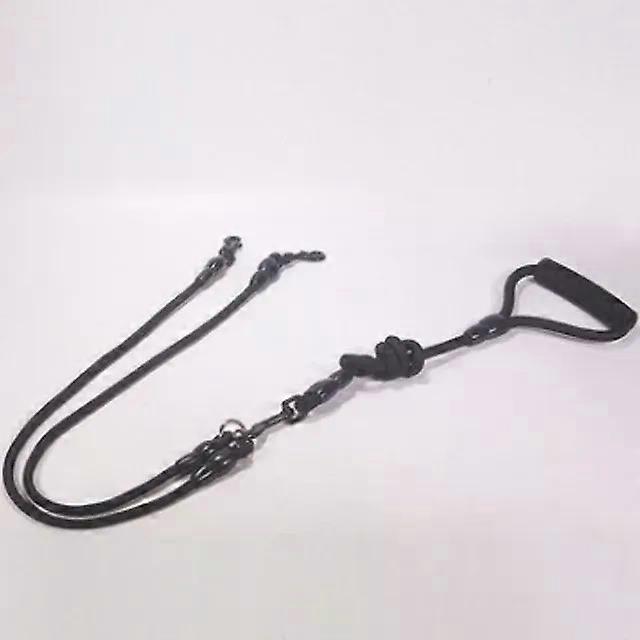 Delysia King Double Traction RopePet Leashes