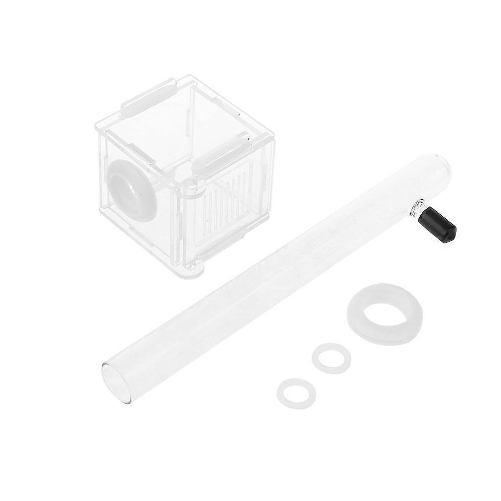 Small Ants Nest Small Colony Feeding Nest with Test Tube Plane Nest Ants Farm House Glass Tube Ants Nest Clear