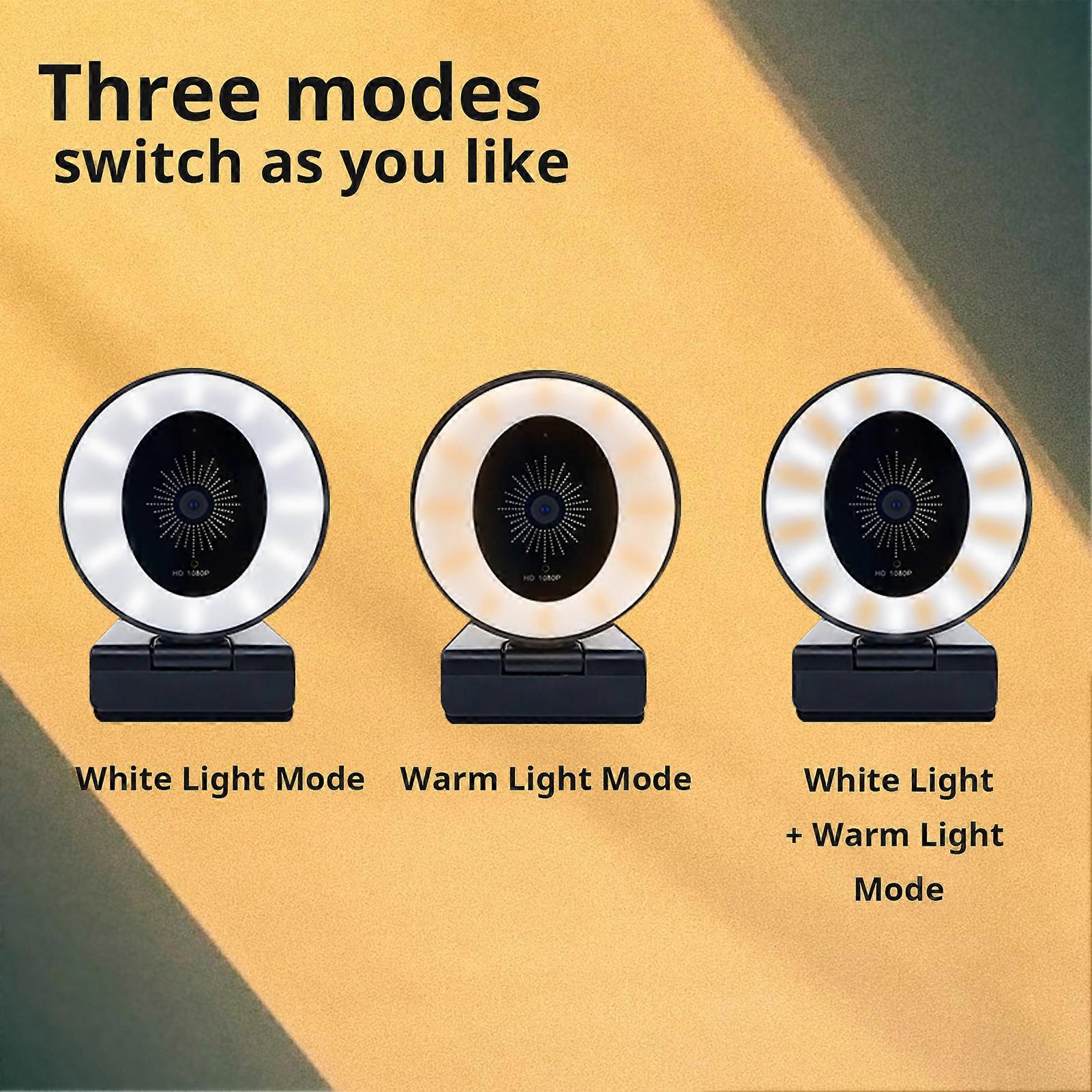 1080P Webcam with Adjustable Light & Noise-Reducing Mic, USB