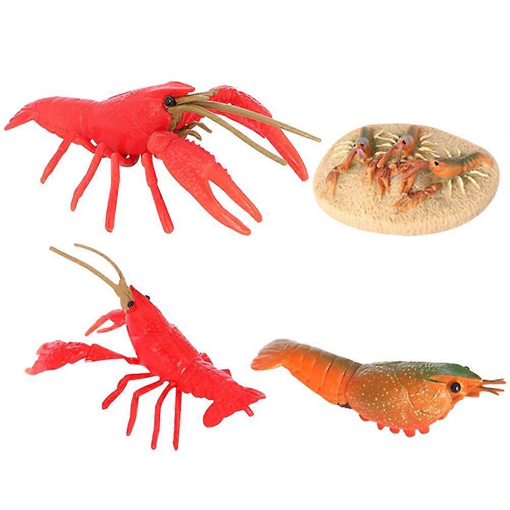 1 Set of Crayfish Growing Cycle Toys Simulated Crayfish Models Educational Lobsterling Life Cycle Toys