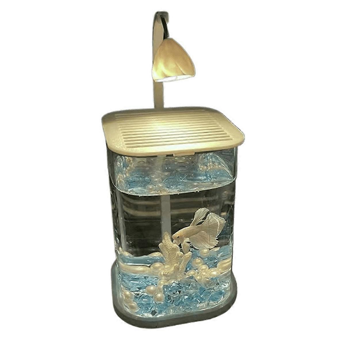 Mini Desktop Glass Aquarium Fish Tank with LED Light for Kids Fish