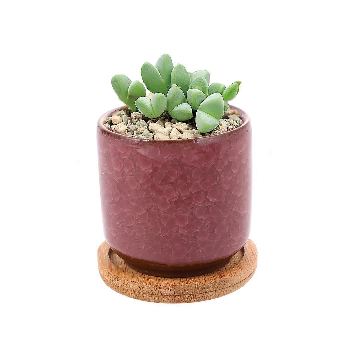 Decorative Pots For Plants Tiny Succulent Pots Minimalist Style Home Office Kitchen Patio Desk 6x5.8cm 6Pcs