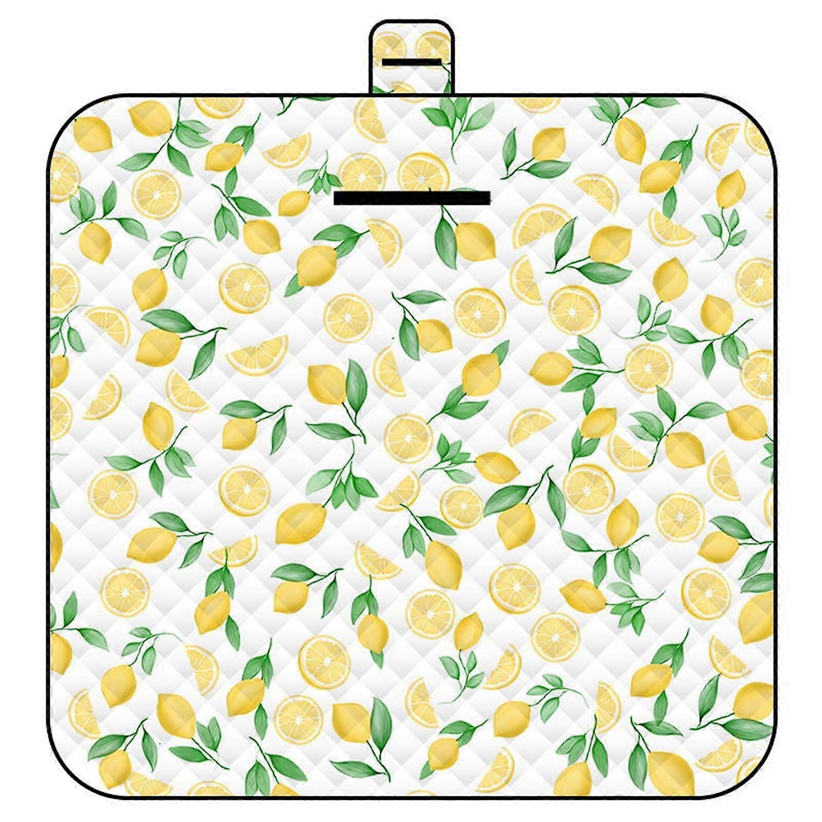 Extra Large Family Portable Picnic Blankets Foldable Waterproof Sandproof With Tote For Camping 200x200cm Color 24