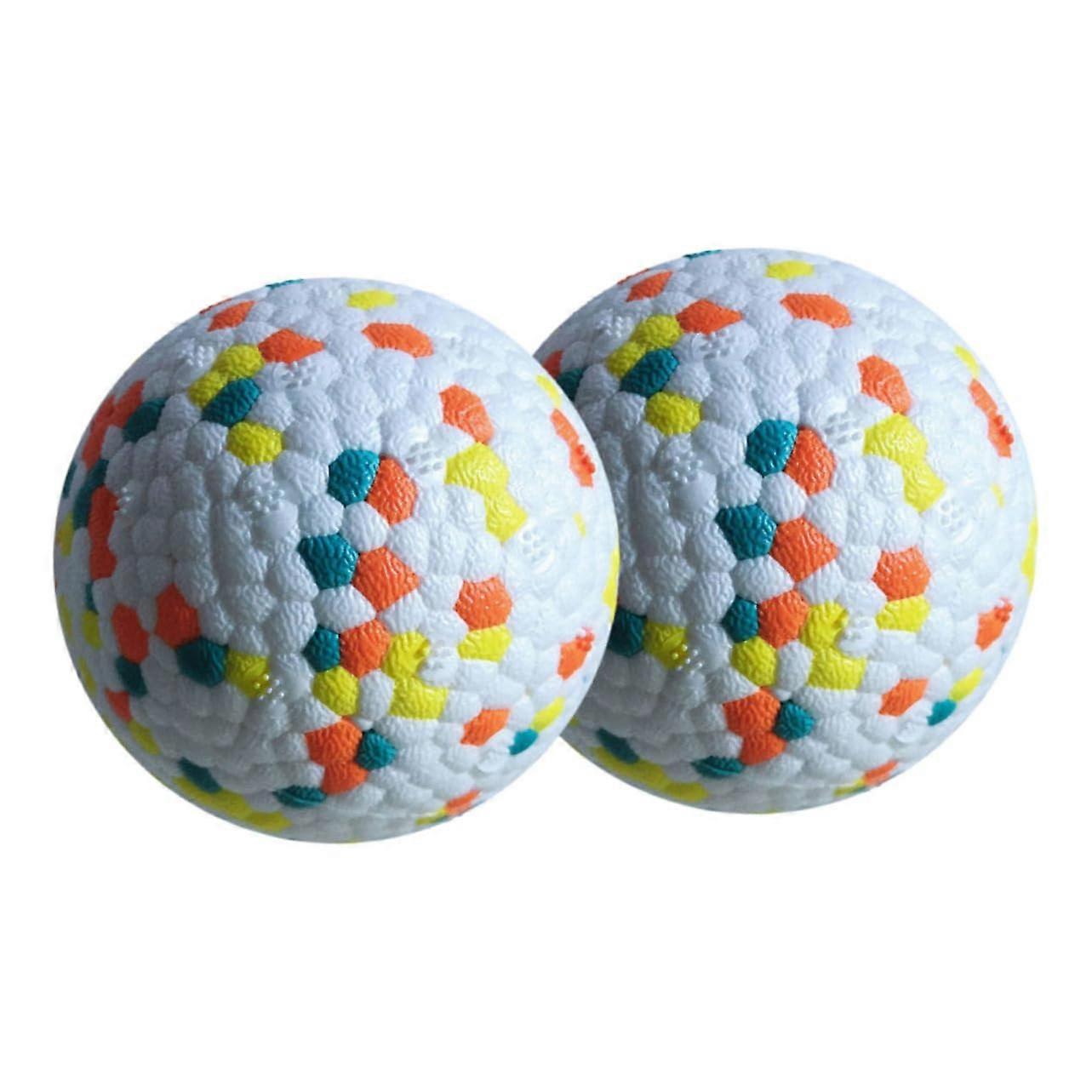 Bite Resistant Puppy Balls 2 Piece Set Teething Balls For Indoor Outdoor Play Floating Chew Balls Boredom Reduction