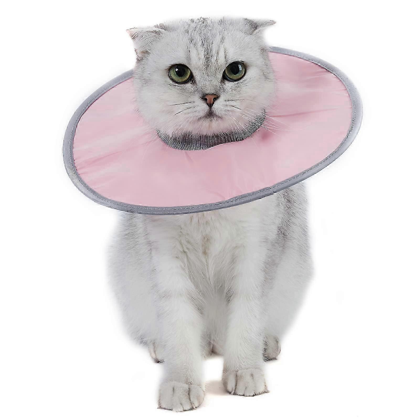 Adjustable Cat Recovery Collar, AntiLick in Light Blue, Size M/L, 3644 g