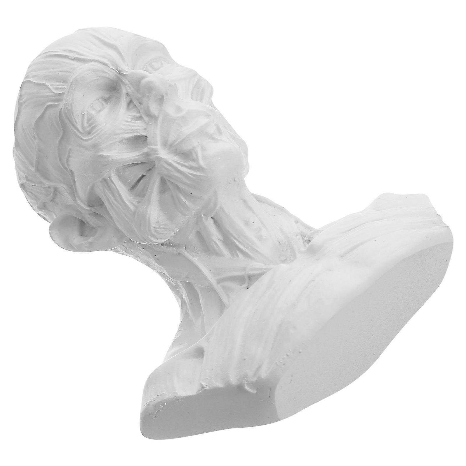 Sketch Figurine Human Model Anatomy Skull Head Muscle Statue 5Pcs Set