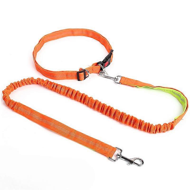 Hands Free Dog Running Leash Explosion-Proof Elastic Bungee Adjustable Reflective Dog Rope for Pet Walking Hiking Traction Leash