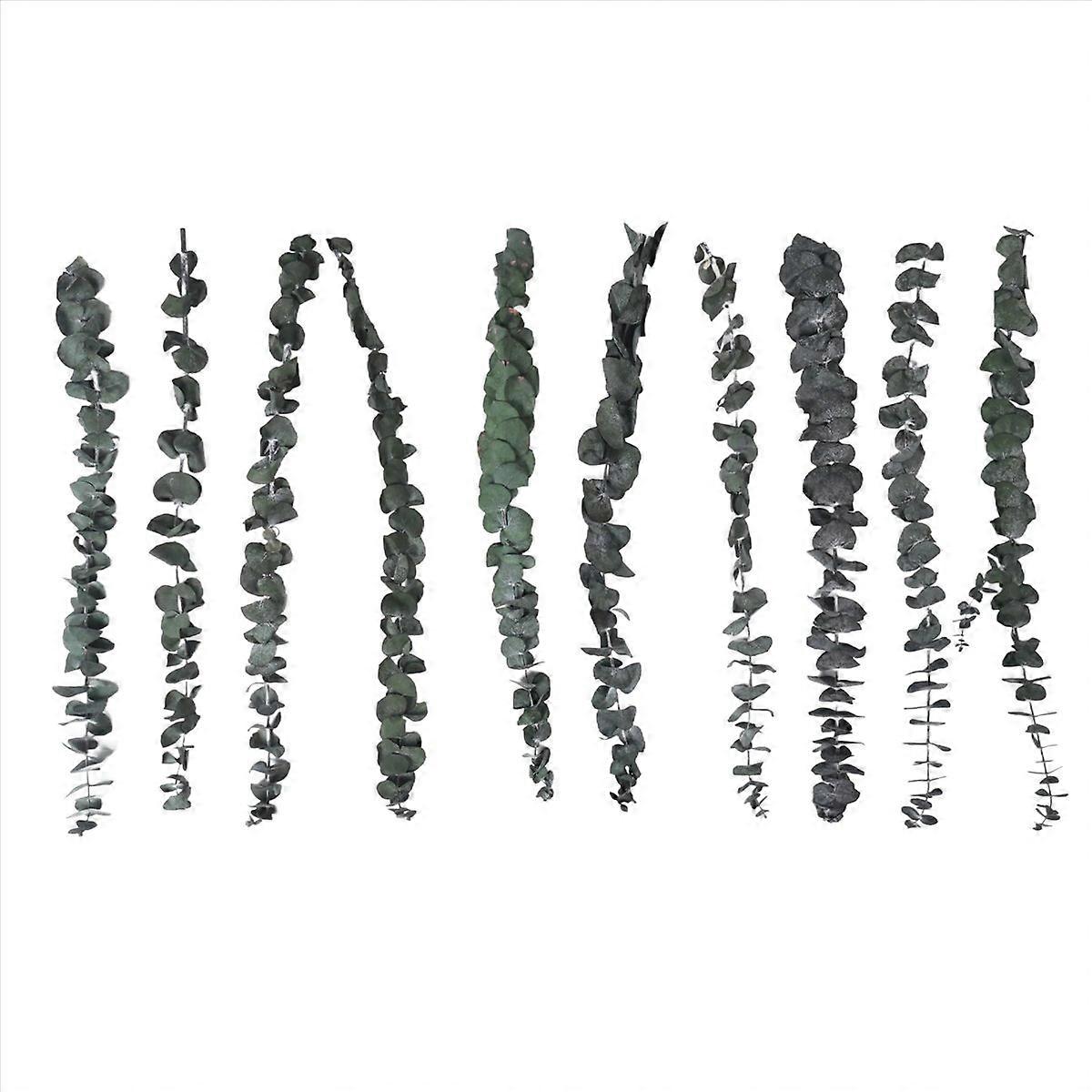 10Pack Natural Dried Eucalyptus Bundle,Preserved Fresh Eucalyptus