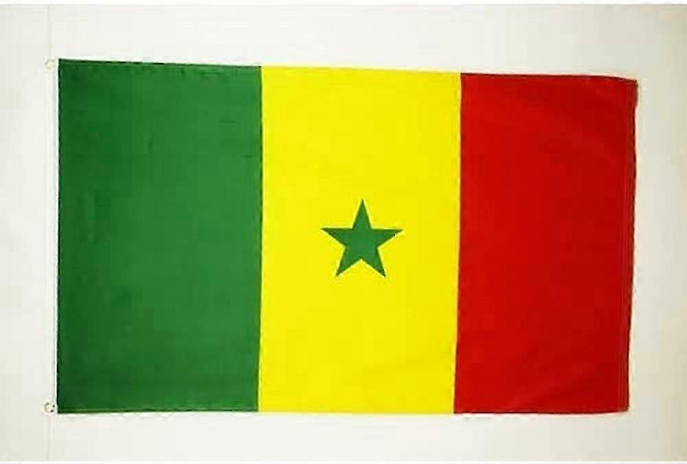 Senegal Flag Qi 0444