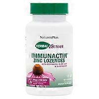 Immunactin Zinc 60 tablets