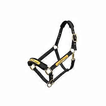 Padded Horse Halter Anti-Rub Equine Halter Prevents Rubs Horse Headcollar for