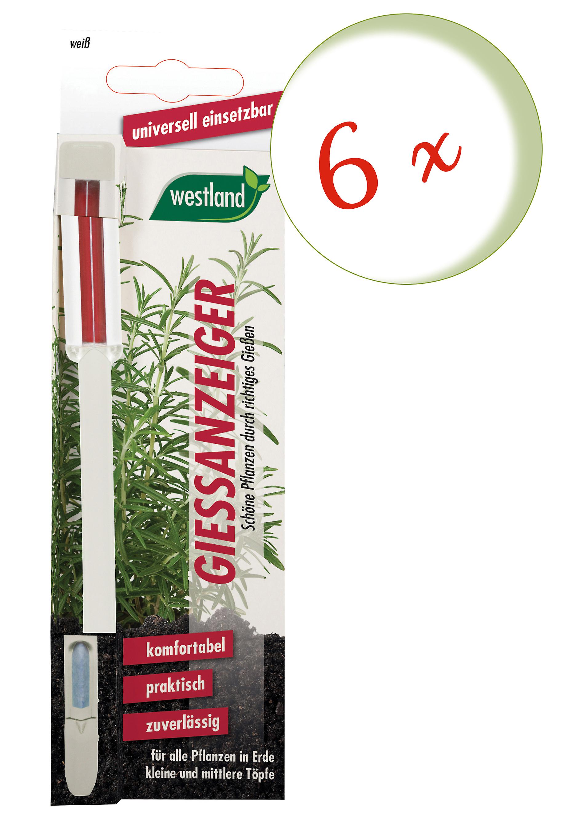 6 x WESTLAND® watering indicator for potting soil, 16 cm white