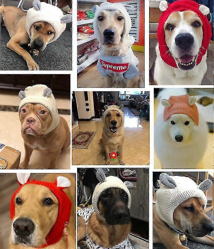 Pet Headgear Autumn And Winter Large Dog Golden Retriever Warm And Windproof Hat