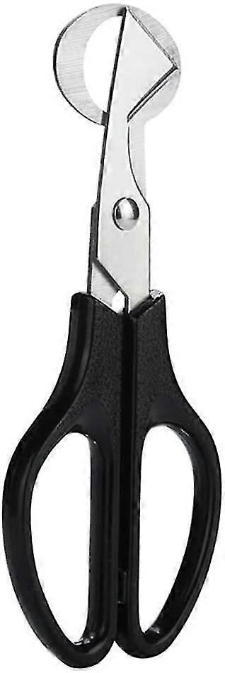 Quail Egg Scissors
