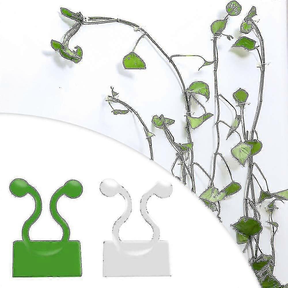 Invisible Plante Escalade Fixation Clips Vignes Fixation Murale Crochet Collant Vert Blanc Ns2