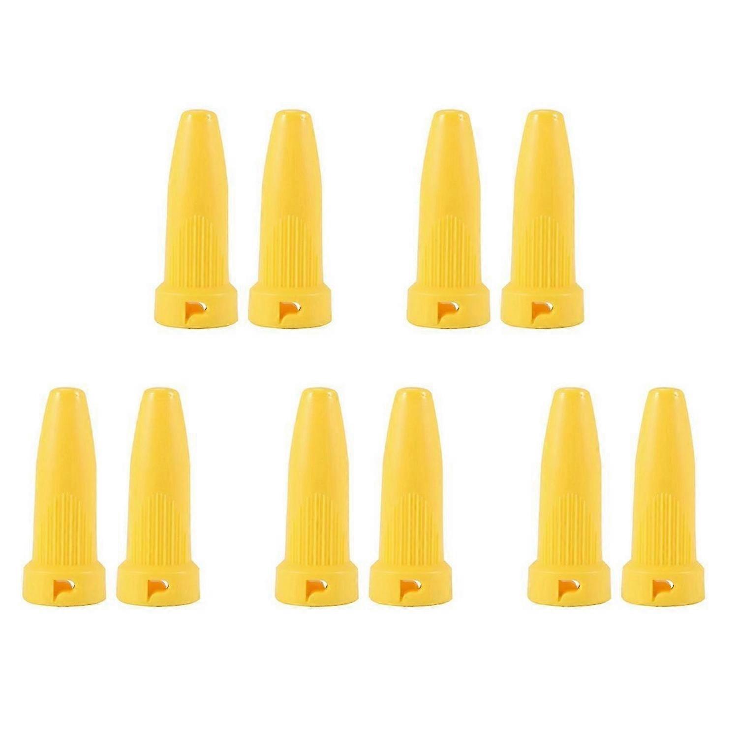 2Pcs for SC1 SG4/4 Etc SC Series Steam Cleaner Parts Nozzle