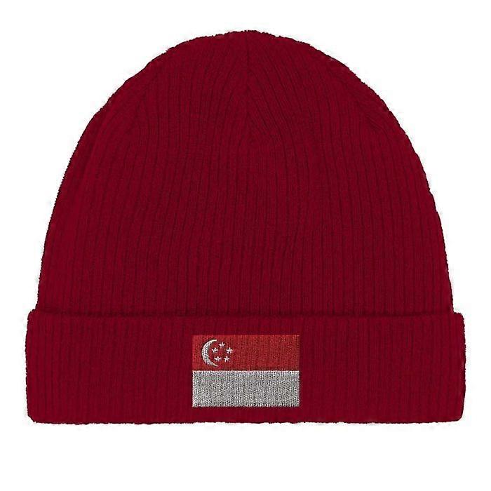 Singapore Flag Cap in Red