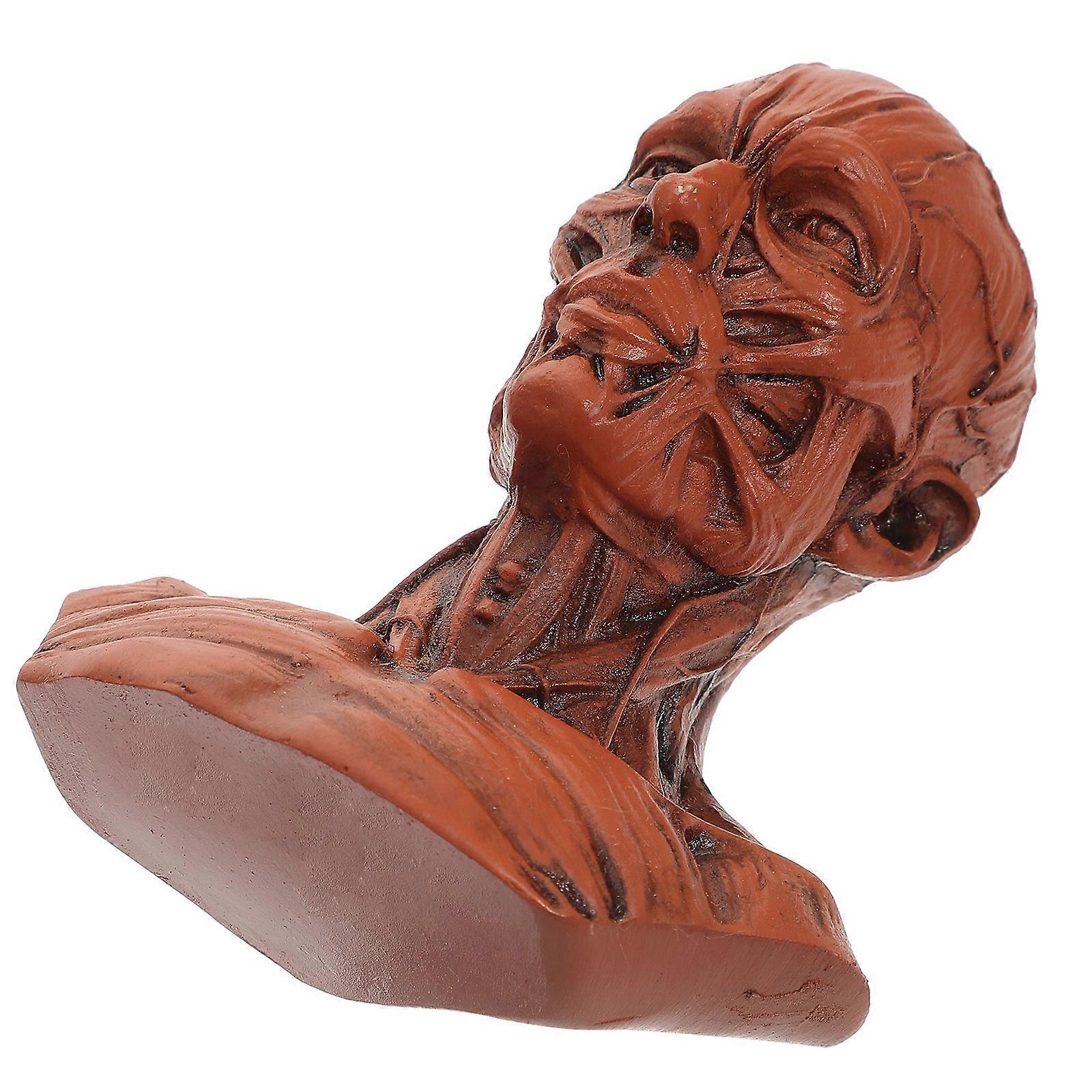 Orange Human Head Model for Painting Skull Head Model