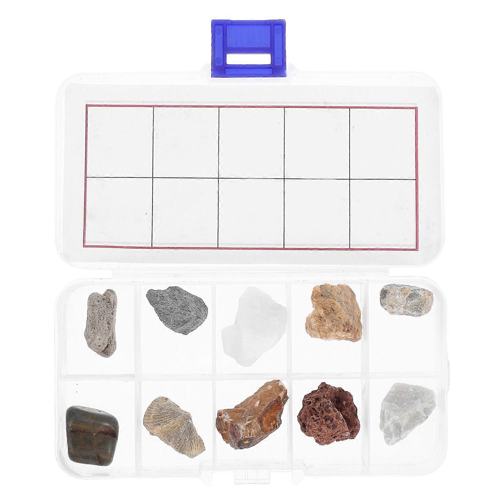 Educational Rock Specimens for Kids Geology Kit 1Set