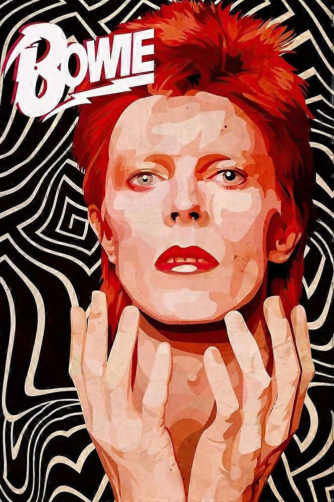 David Bowie (Jigsaw Puzzle Brain Teaser P2258