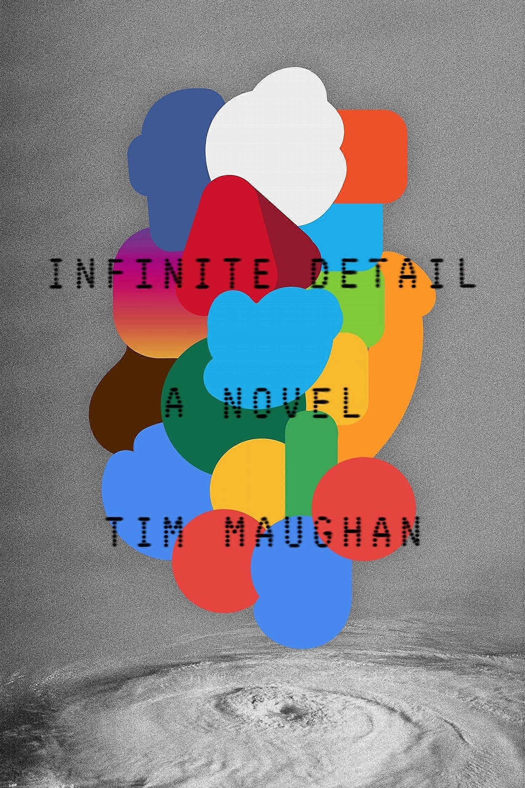 Infinite detail a novel