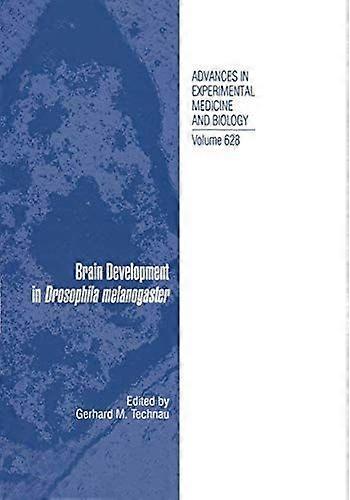 Brain development in drosophila melanogaster