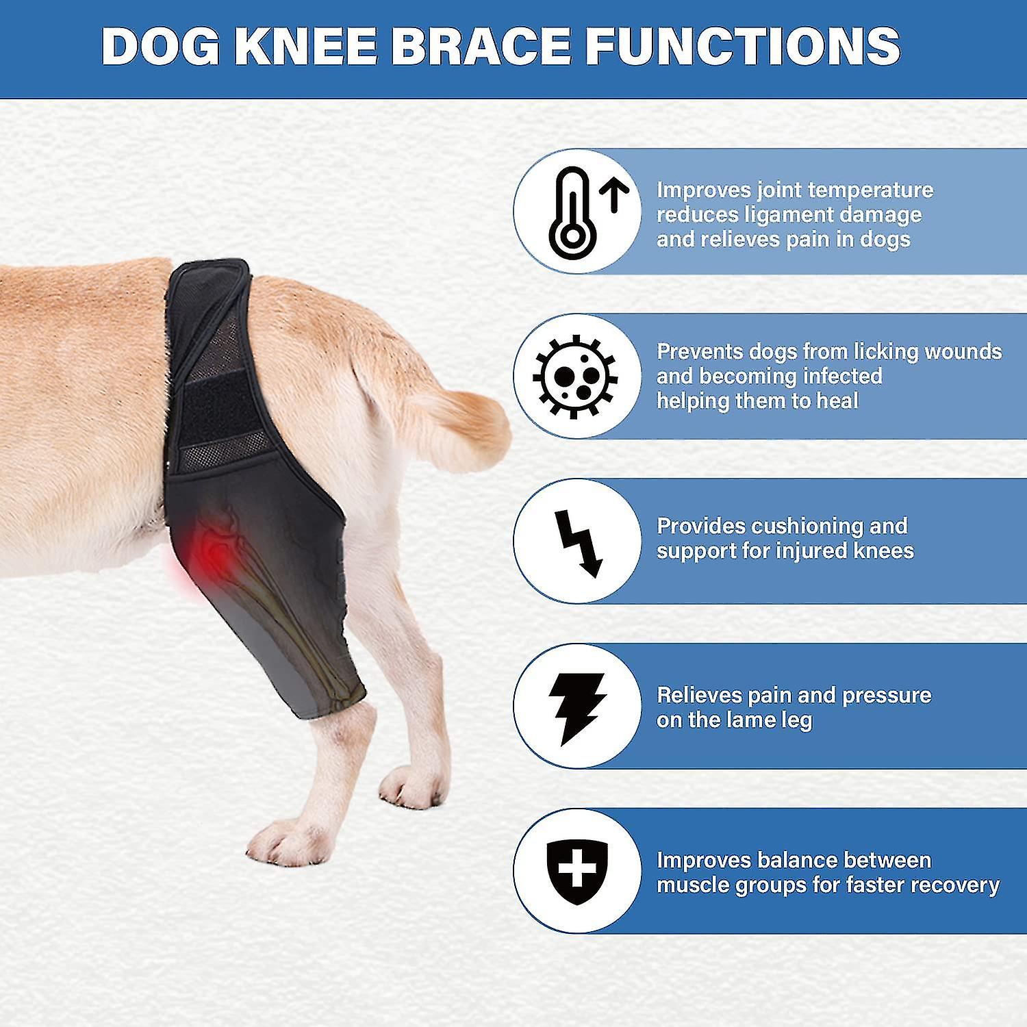 Hunde Sprunggelenkbandage Für Hintere Beine – Stützbandage Aus Neopren, Verstellbar Mit Klett