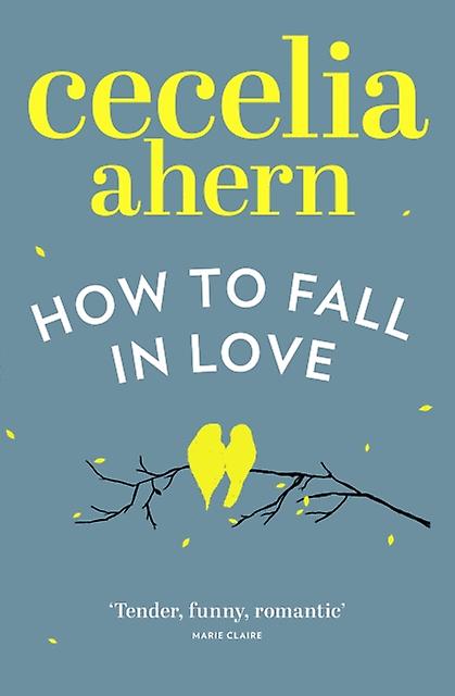 Hvordan bli forelsket Pb - Cecelia Ahern