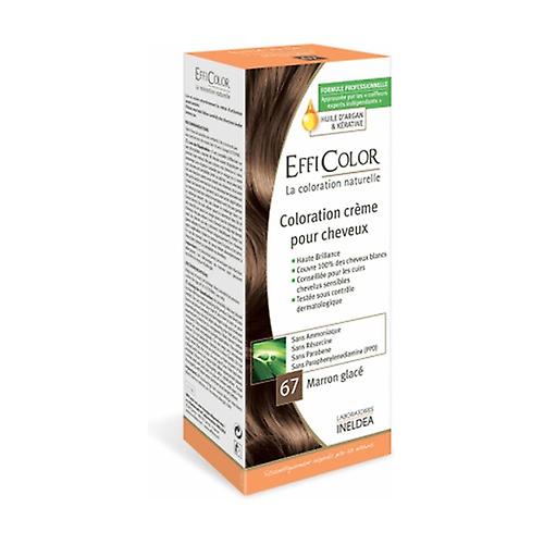 Ice Chestnut Efficolor Coloring Cream (No. 67) 1 unit