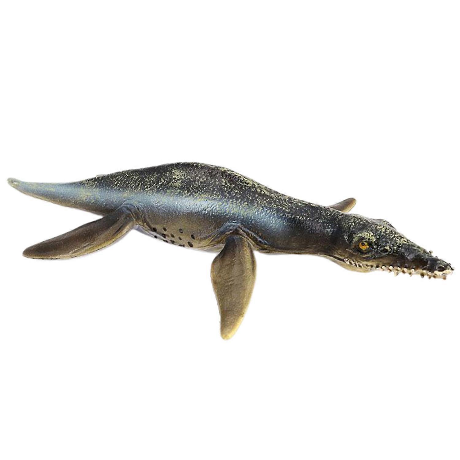 Dinosaur Model Realistic Shape Collectible Solid Model Liopleurodon  Animal Model Action Figures