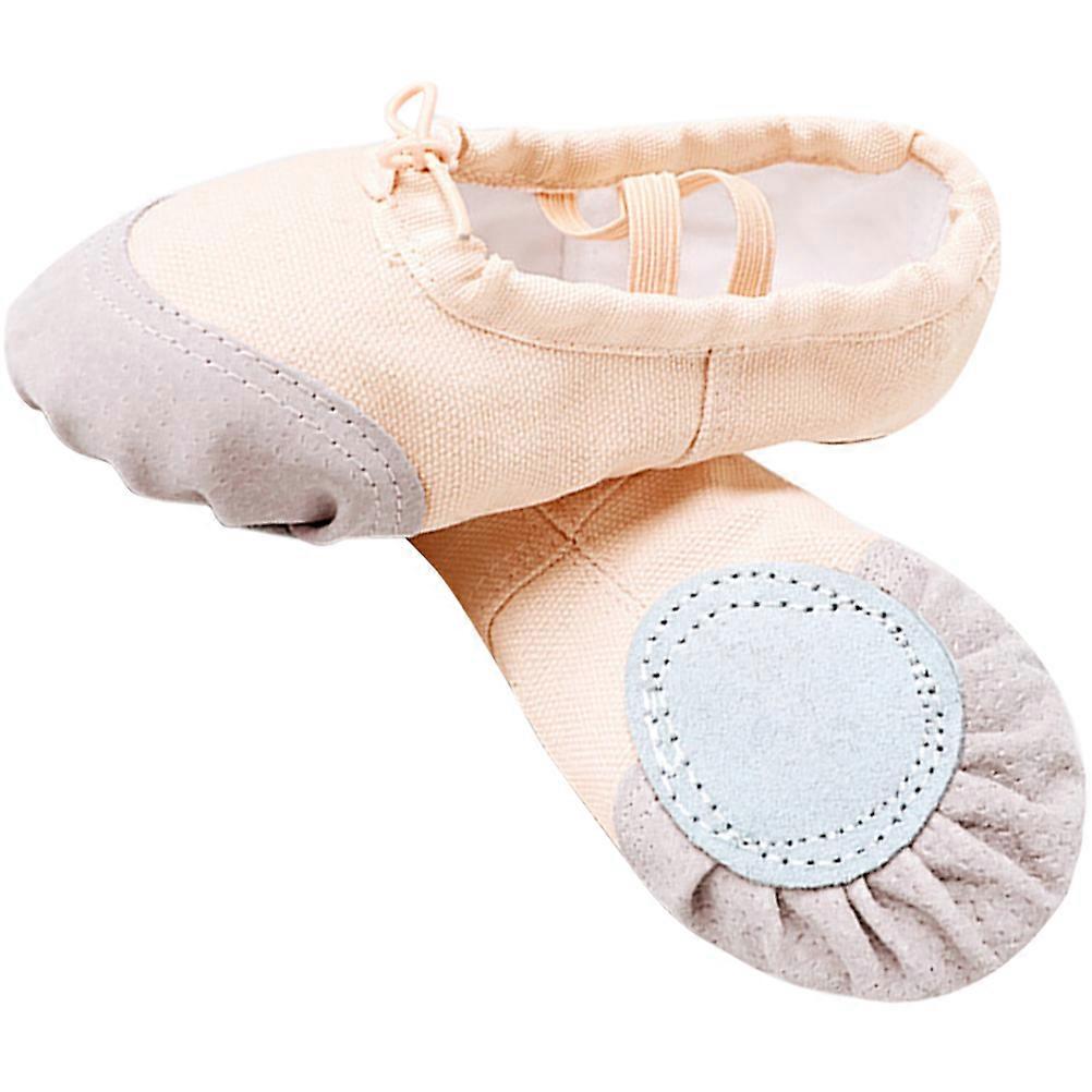 Girls Ballet Practice Shoes 1 Pair Soft Sole Breathable Functionality Indoor Wear Multi Color For Fitness