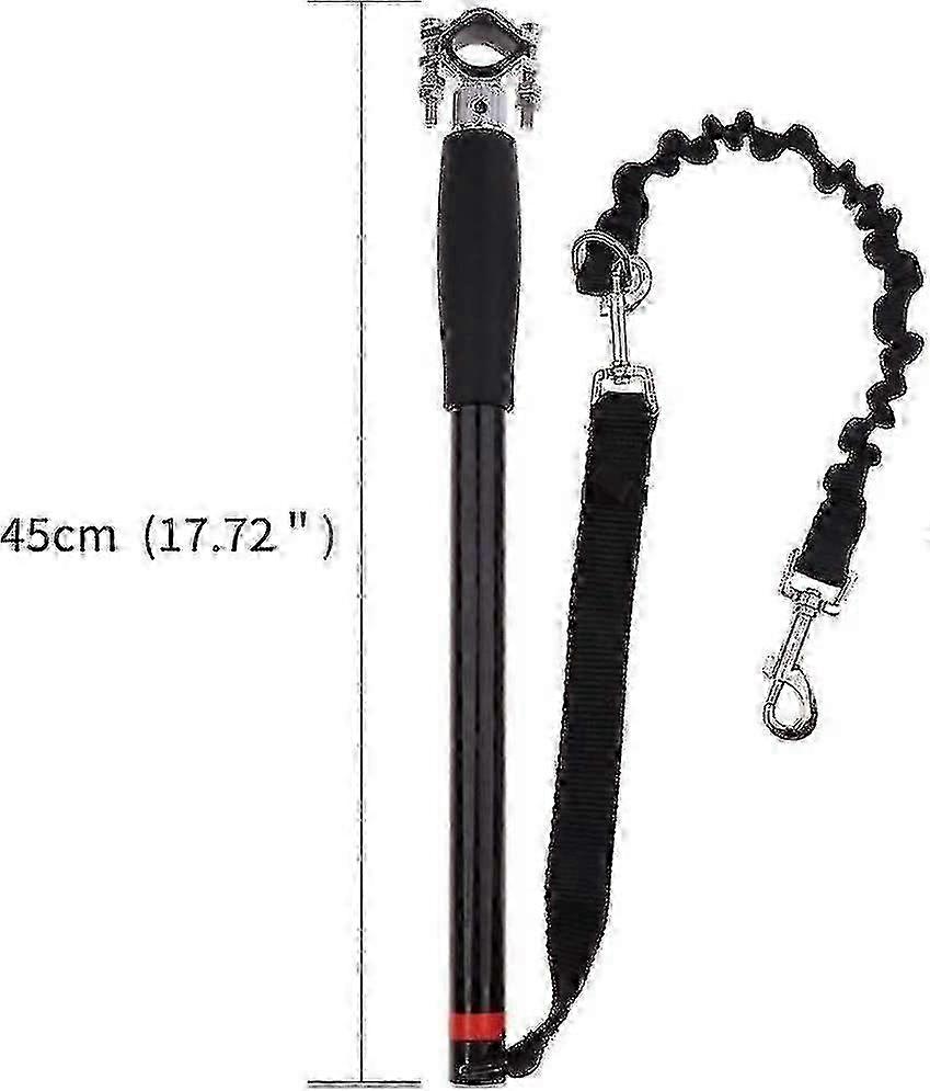 Comfortable Dog Exerciser Leash for Active Pets 2025