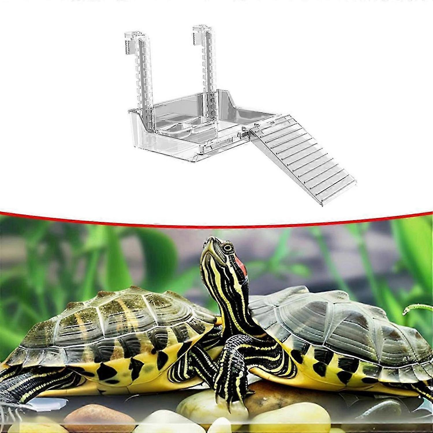 New Turtle Tank Platform Aquatic Reptile Basking Platform Turtles Turtle Tank Dock Transparent Torto