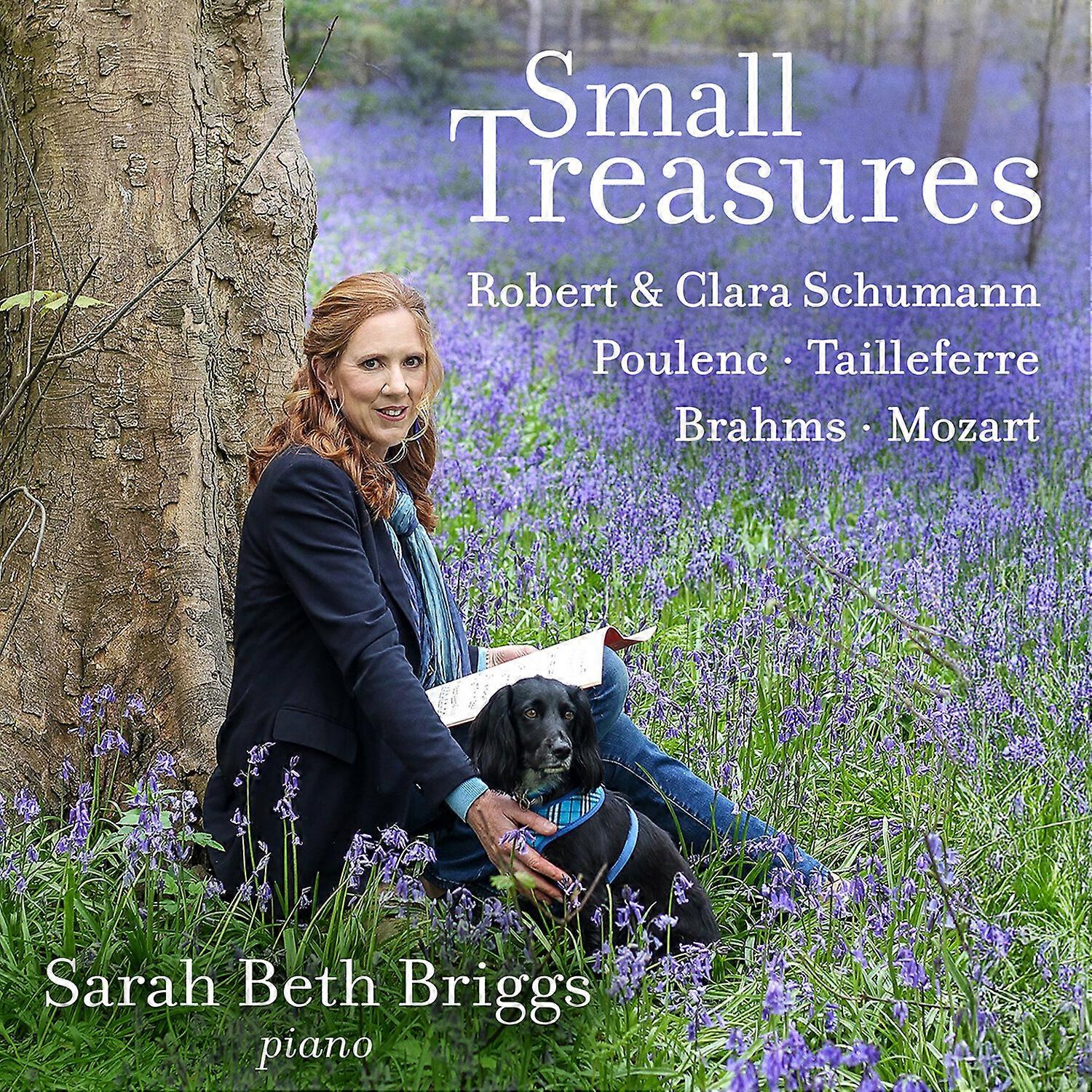 Sarah Beth Briggs - Small Treasures  [COMPACT DISCS] USA import