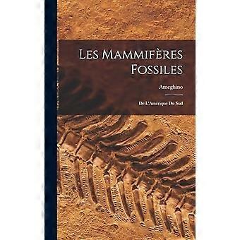 Les mammifres fossiles de l'amrique du sud