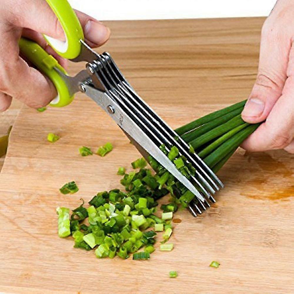 Herb Scissors Multipurpose Mincing Shear 5blades, cubierta de acero inoxidable