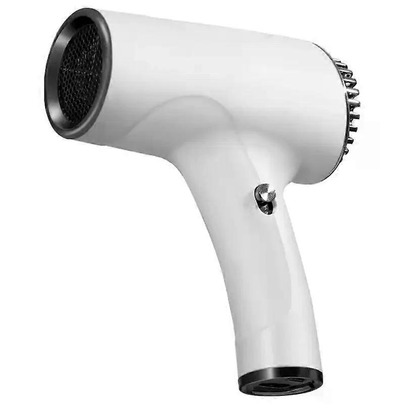 Lightweight Cordless Ionic Hair Dryer
