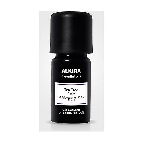 Alkira - Tea Tree Essential Oil 10 ml of essential oil