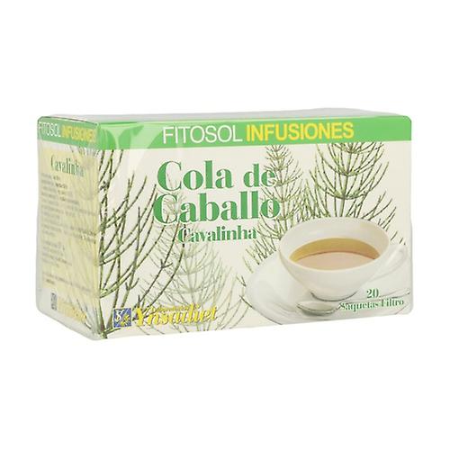 Horse tail 20 infusion bags