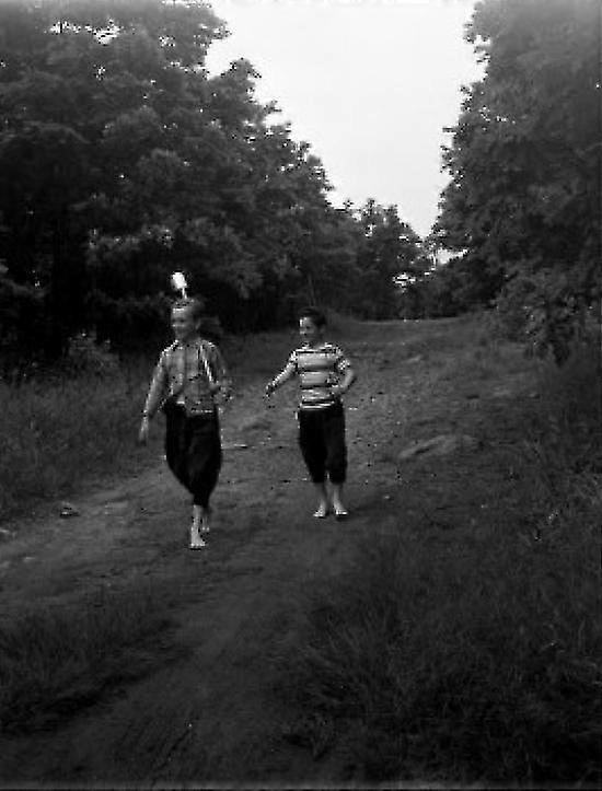 Two Boys Walking In Forest Poster